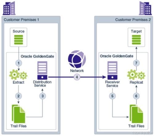 基于OGG 21c圖形化實現9TB數據從Oracle 11g到19c的不停機遷移（上篇）——微服務架構詳解與部署、同步問題總覽